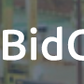 Bidcars record listing VIN Photos Mileage Delete 24h/7 12h Permament